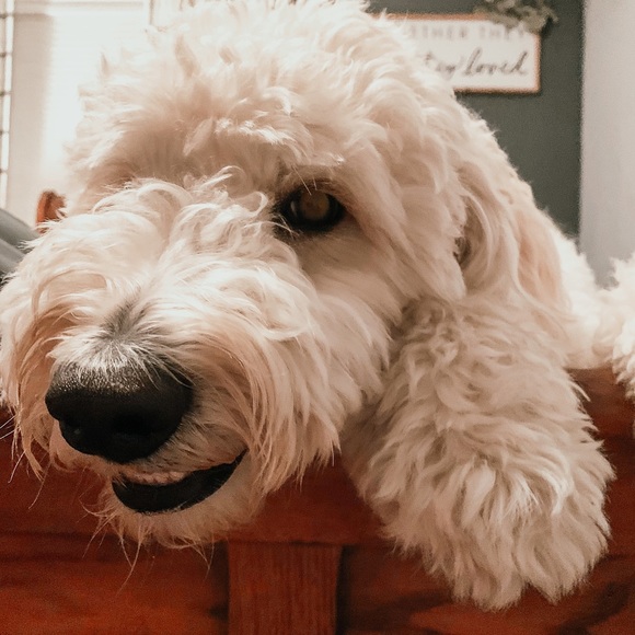 Meet the Posher - Picture 11 of 12